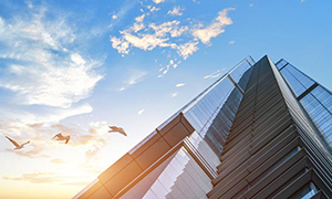 ��ϵ����